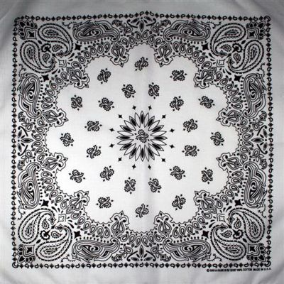 177_0 manystyles USA Bandana White