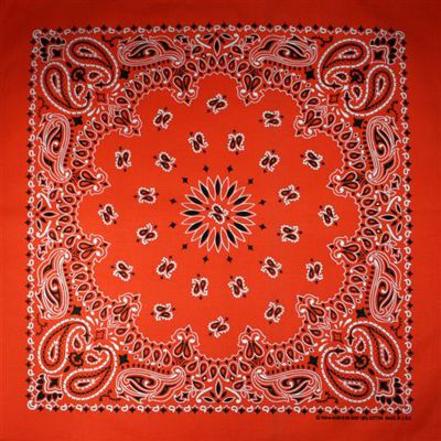 manystyles USA Bandana Orange